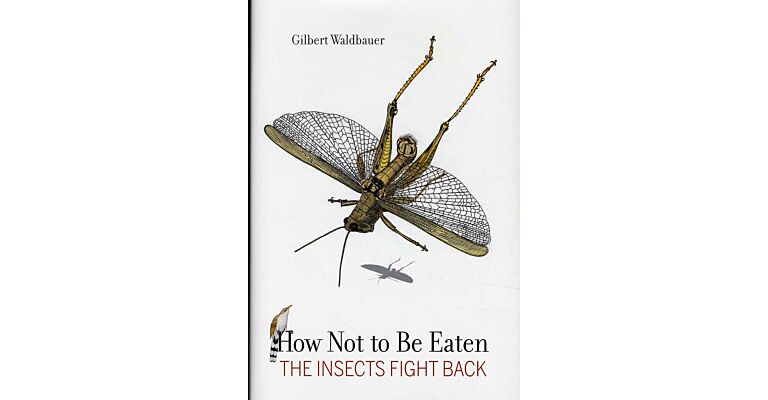How Not to Be Eaten - The Insects Fight Back