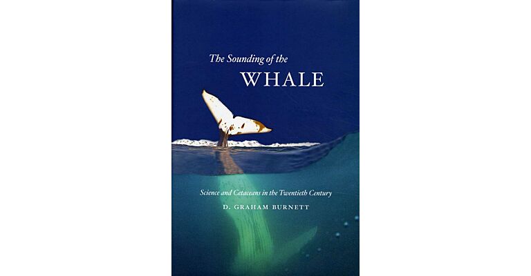The Sounding of the Whale