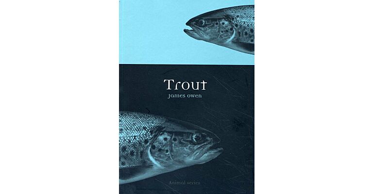 Trout