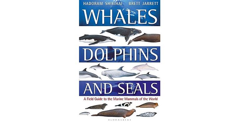 Whales, Dolphins and Seals (PBK)