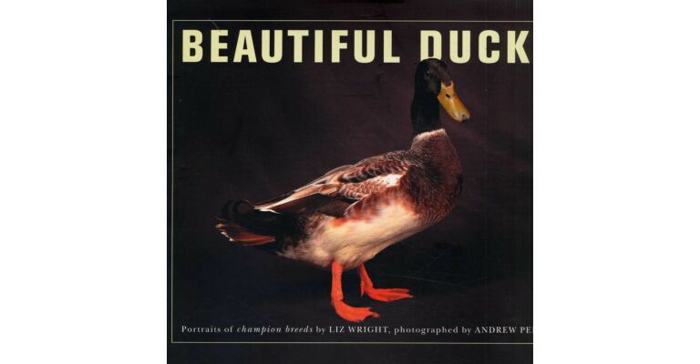 Beautiful Ducks