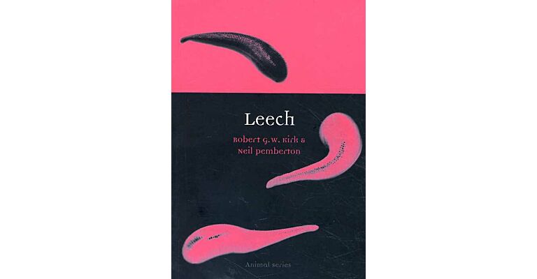 Leech