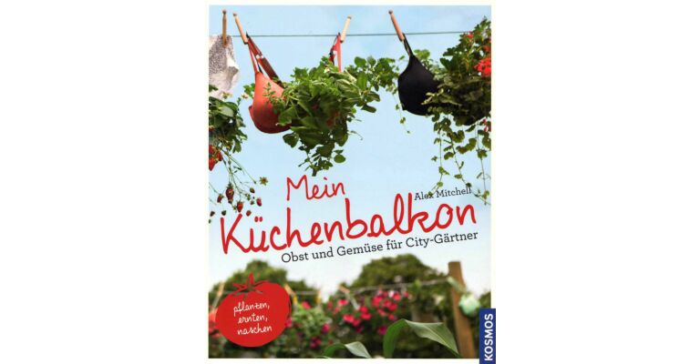 Mein Küchenbalkon