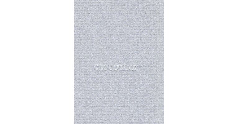 Cloudline - Architecture / Art / Site : A House bei Toshiko Mori