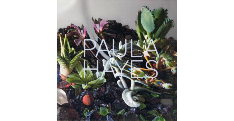 Paula Hayes