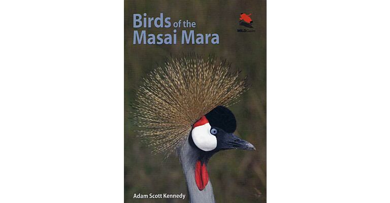 Birds of the Masai Mara