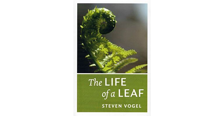 The Life of a Leaf