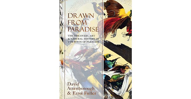 Drawn From Paradise -  The Discovery, Art and Natural History of the Birds of Paradise