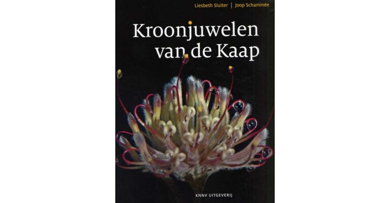 Kroonjuwelen van de Kaap. Fynbos en Rooibos in Zuid-Afrika