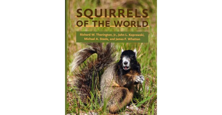 Squirrels of the World