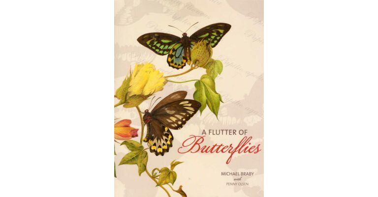 A Flutter of Butterflies