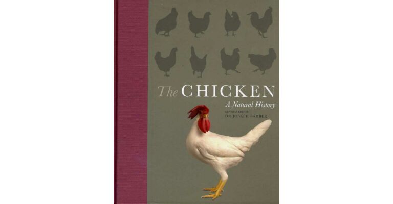 The Chicken - A Natural History