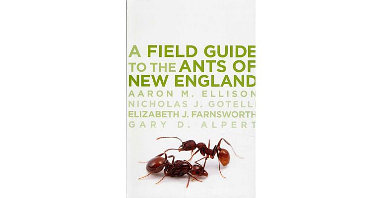 A Field Guide to the Ants of New England