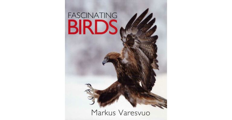 Fascinating Birds