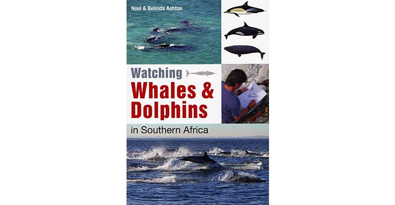 Watching Whales & Dolphins in Southern Africa