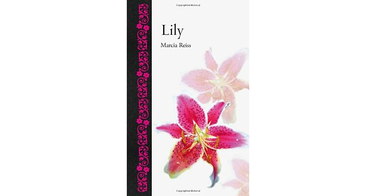 Lily