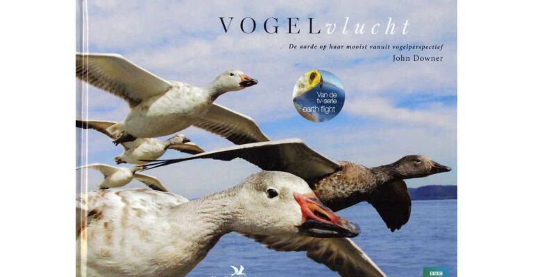 Vogelvlucht