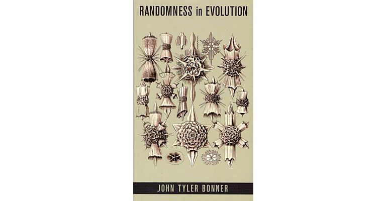 Randomness in Evolution