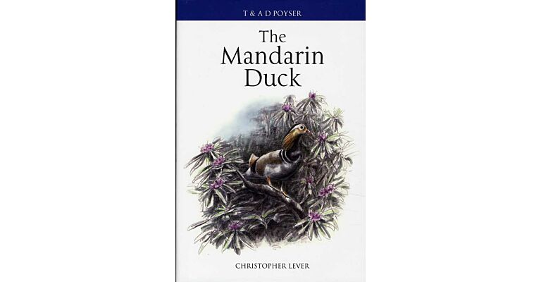 The Mandarin Duck