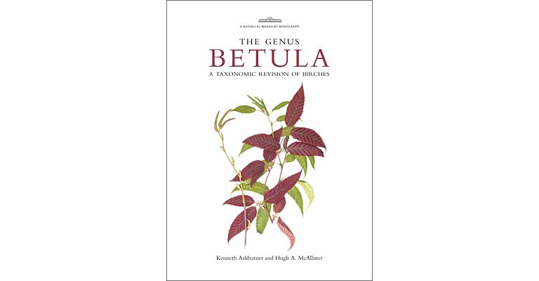 The Genus Betula -  A Taxonomic Revision of Birches