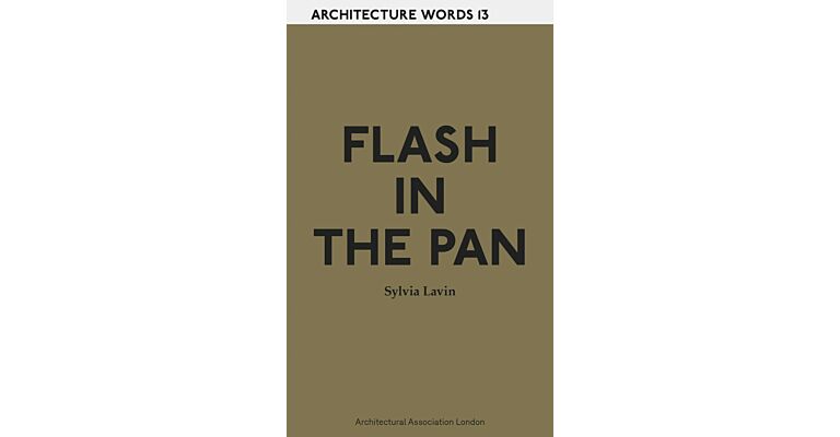 Architecture Words 13 - Flash in the Pan
