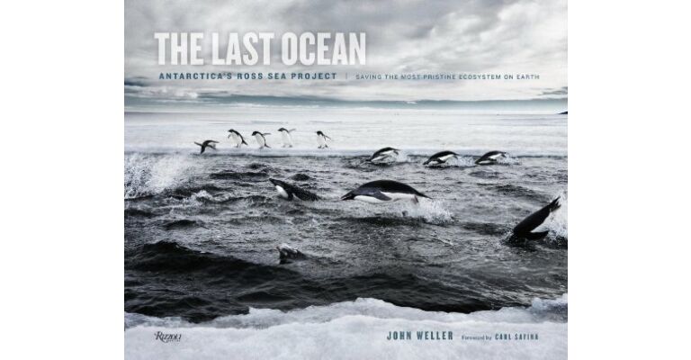The Last Ocean: Antarctica's Ross Sea Project