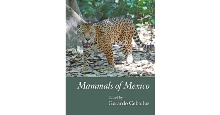 Mammals of Mexico