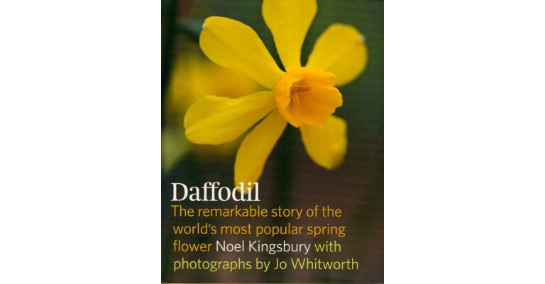Daffodil - The remarkable story of the world's most popular spring flower
