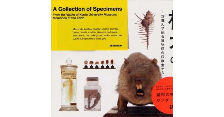 A collection of Specimens. From the Vaults of Kyoto University Museum: