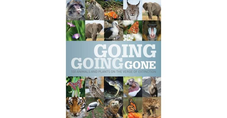Going Going Gone