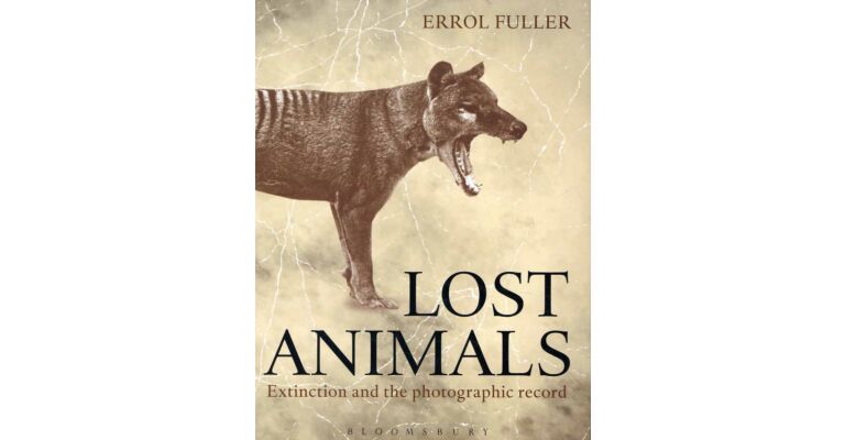 Lost Animals