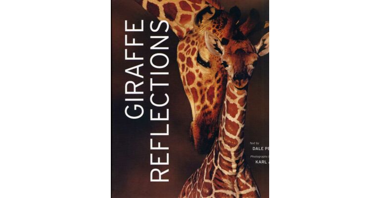 Giraffe Reflections