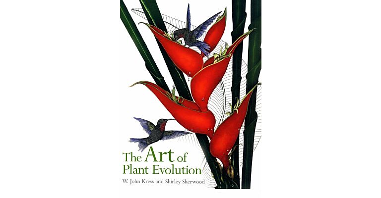 The Art of Plant Evolution