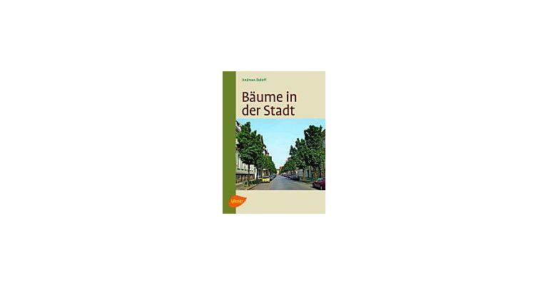 Bäume in der Stadt