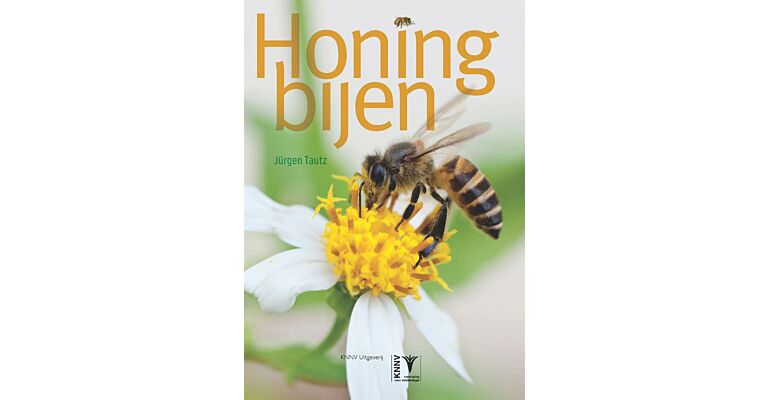 Honingbijen