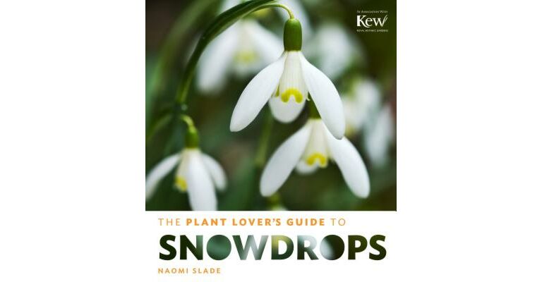 The Plant Lover's Guide to Snowdrops