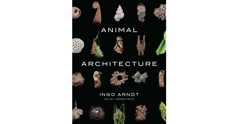Animal Architecture
