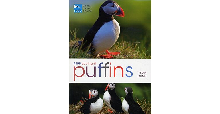 RSPB Spotlight - Puffins