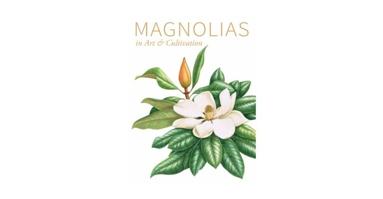 Magnolias in Art and Cultivation