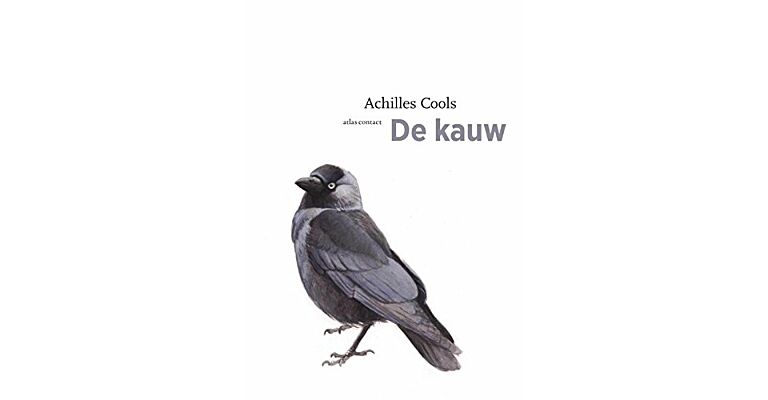 De Kauw