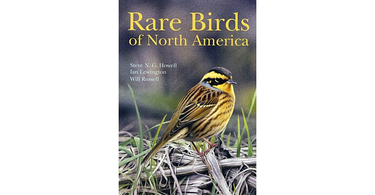 Rare Birds of North America
