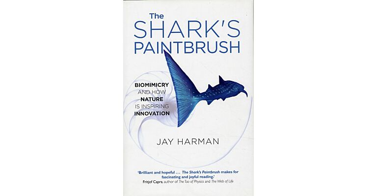 The Shark's Paintbrush