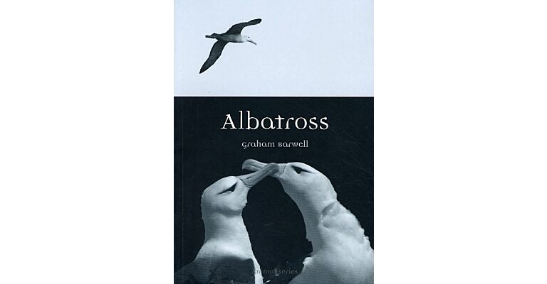 Albatross