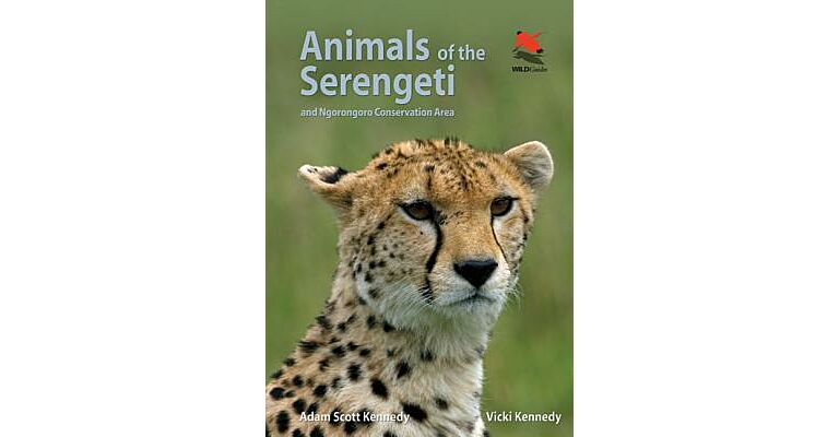 Animals of the Serengeti