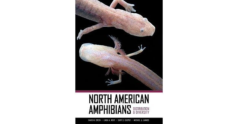 North American Amphibians - Distribution & Diversity