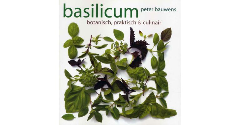 Basilicum - botanisch, praktisch & culinair