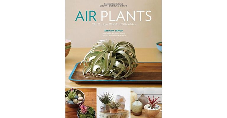Air Plants - The Curious World of Tillandsias - Grow, Design Graft