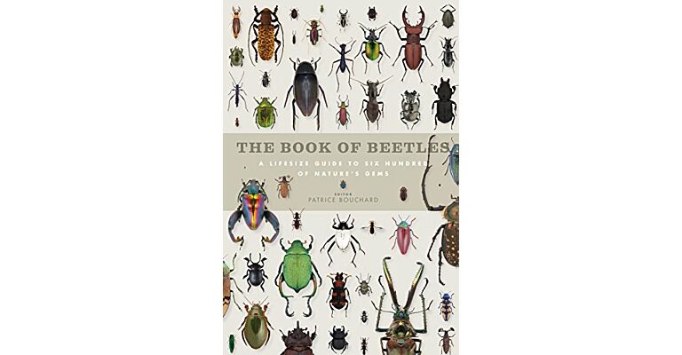 The Book of Beetles - A life-size guide to 600 species from around the world (Currently not available)