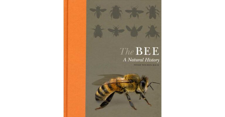 The Bee - A Natural History