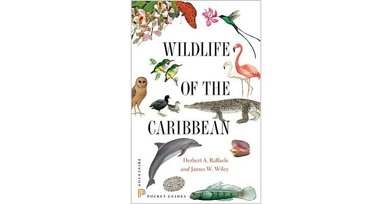 Wildlife of the Caribbean